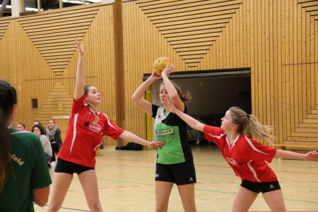 2016_01_16 Landesliga Jugend 19